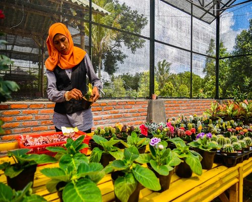 Ruang kerja redaksi yang terang dengan tanaman hias